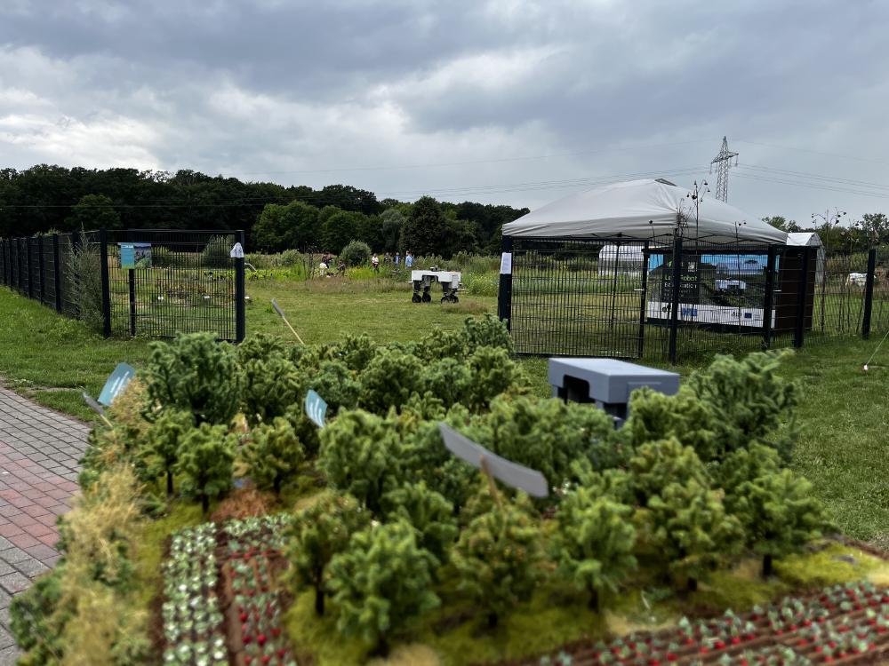 Modelo agroforestal