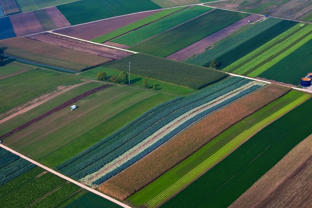 Horti Nav
