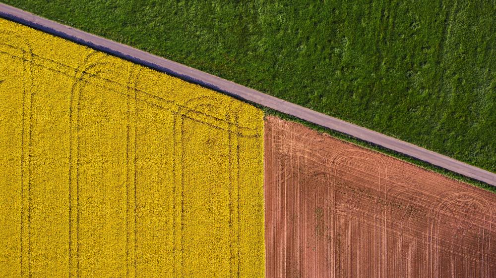 OpenField Nav