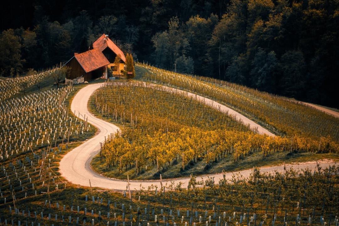 The Operating System that powers the next generation of AI-based Autonomous Farming image