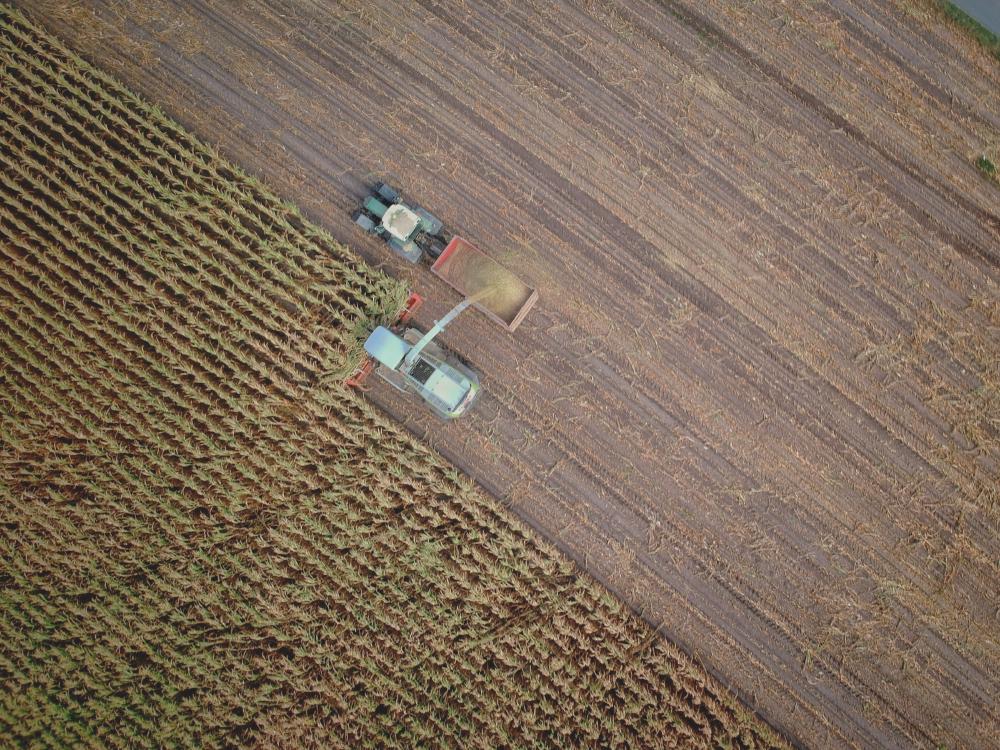 Corn Harvester