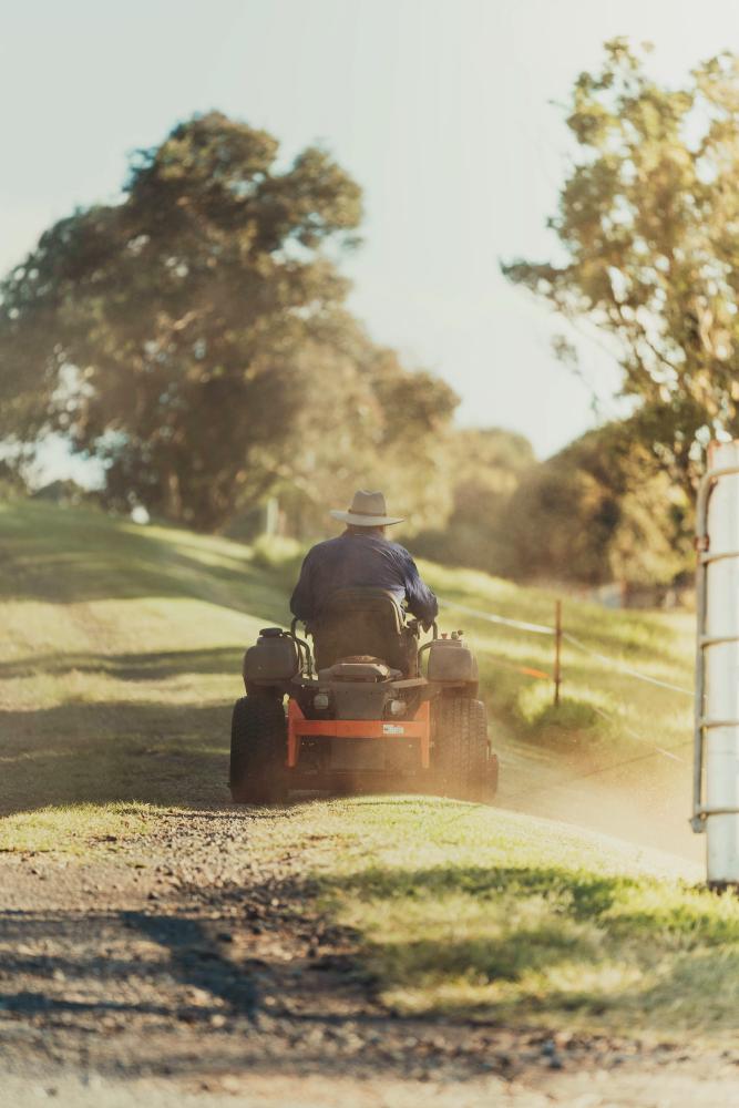 Lawn Mower