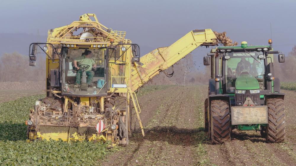 Turnip Harvester
