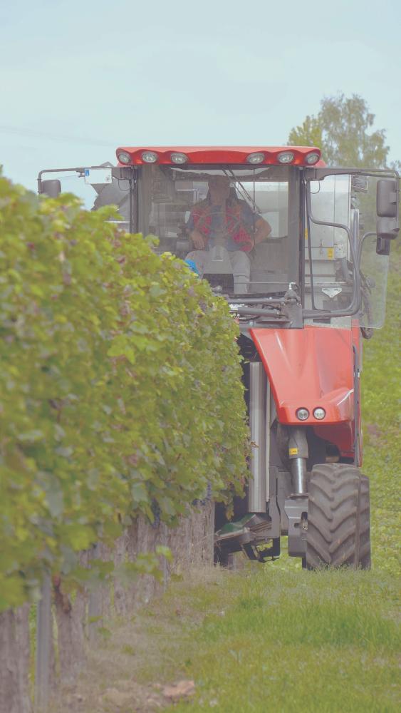 Vine Harvester