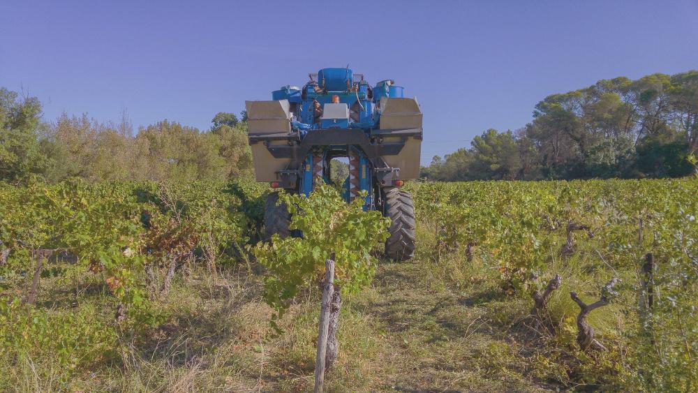 Vine Harvester