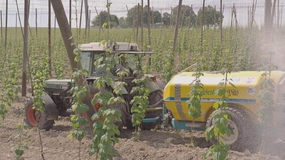 Sprayer
