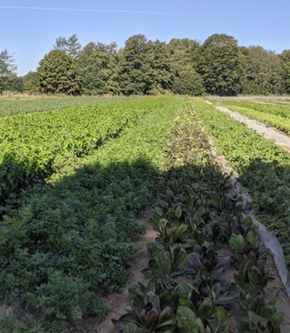 EIP Agri project OpenOrganicFarm launched