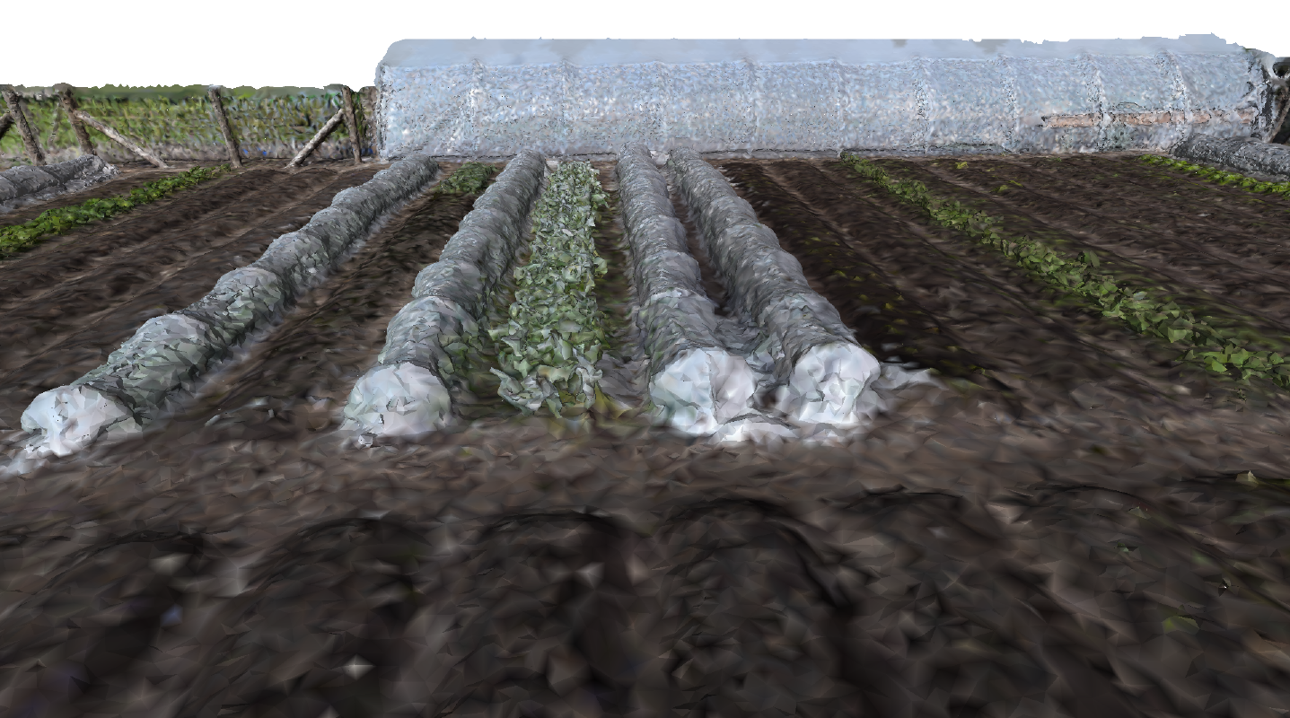Market Garden Ibbenbueren, Closeup