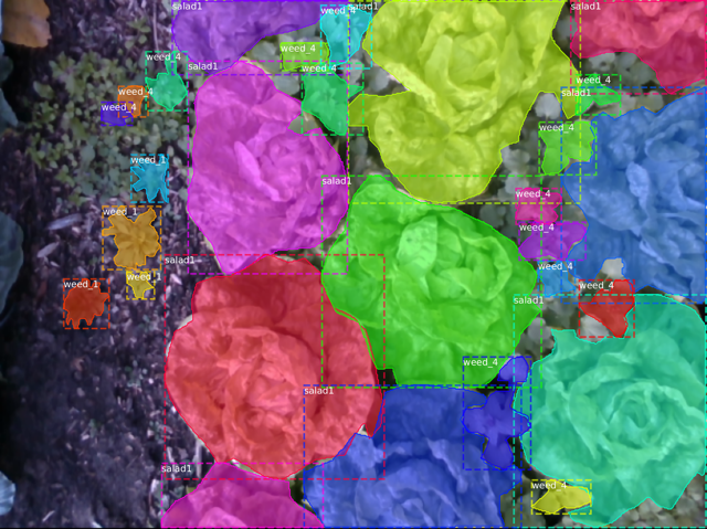 Plant Instance Segmentation