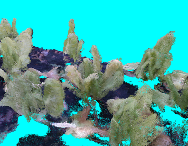 3D Point Cloud of a Bed