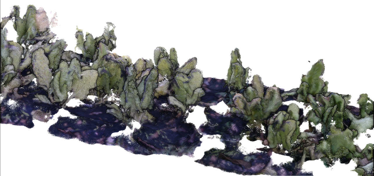 3D Point Cloud of a Bed