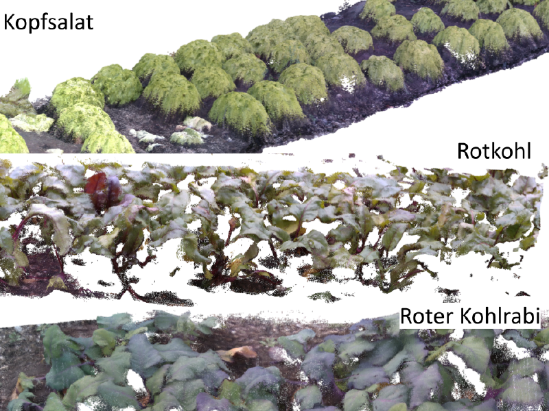 3D Plant Mapping